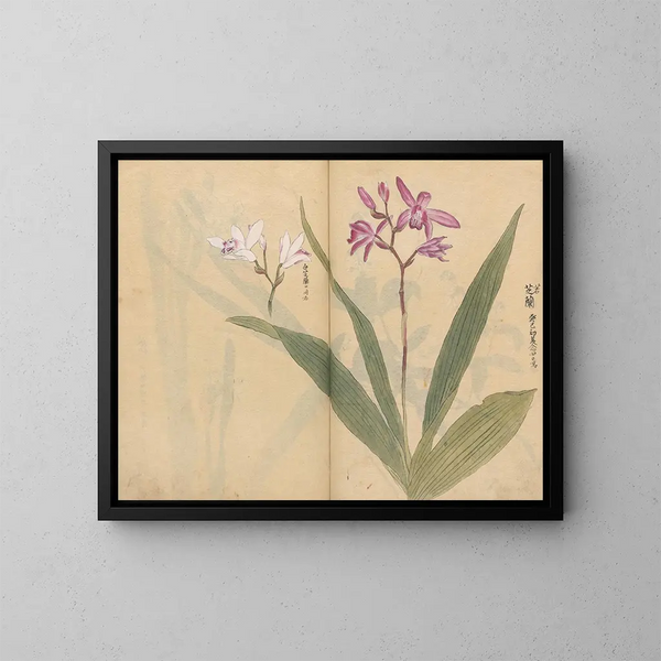 Carnet de croquis Pl015 - Ariyoshi Kondo — quadro incorniciato alla parete