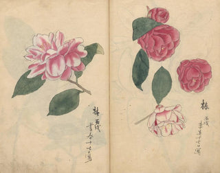 Ariyoshi Kondo - Sketchbook Pl017.webp