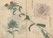 Carnet de croquis Pl019 - Ariyoshi Kondo — vista dell’opera