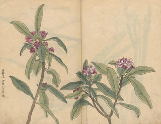 Carnet de croquis Pl022 - Ariyoshi Kondo — vista dell’opera