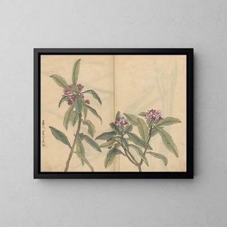 Carnet de croquis Pl022 - Ariyoshi Kondo — quadro incorniciato alla parete