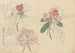 Carnet de croquis Pl024 - Ariyoshi Kondo — vista dell’opera