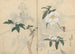 Carnet de croquis Pl030 - Ariyoshi Kondo — vista dell’opera