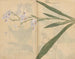 Carnet de croquis Pl031 - Ariyoshi Kondo — vista dell’opera