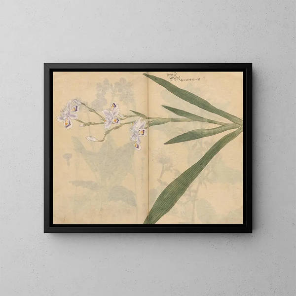 Carnet de croquis Pl031 - Ariyoshi Kondo — quadro incorniciato alla parete