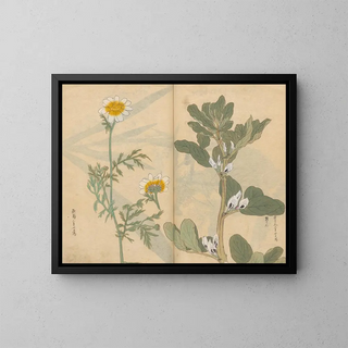 Carnet de croquis Pl036 - Ariyoshi Kondo — quadro incorniciato alla parete