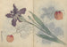 Carnet de croquis Pl045 - Ariyoshi Kondo — vista dell’opera