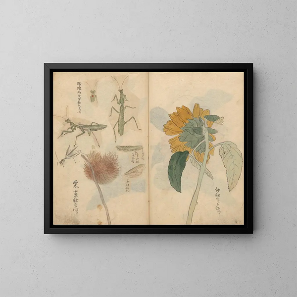 Carnet de croquis Pl048 - Ariyoshi Kondo — quadro incorniciato alla parete