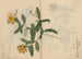 Carnet de croquis Pl052 - Ariyoshi Kondo — vista dell’opera