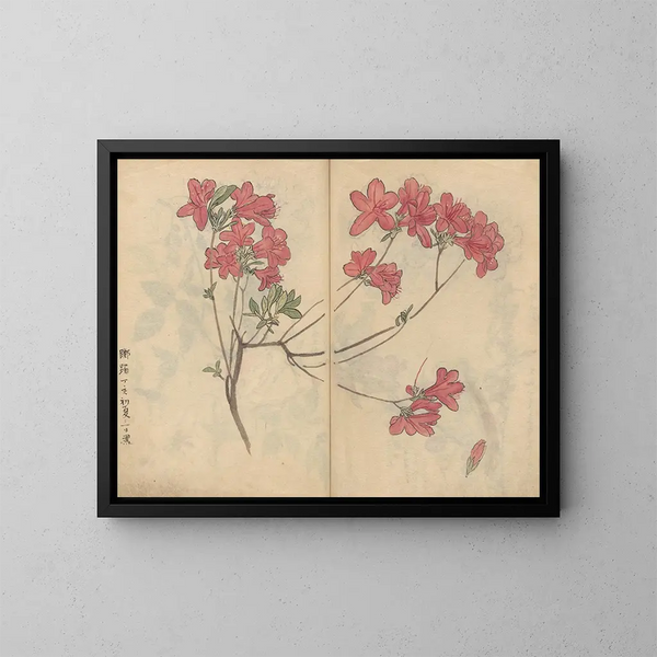 Carnet de croquis Pl056 - Ariyoshi Kondo — quadro incorniciato alla parete