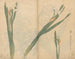 Carnet de croquis Pl058 - Ariyoshi Kondo — vista dell’opera