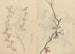 Carnet de croquis Pl067 - Ariyoshi Kondo — vista dell’opera