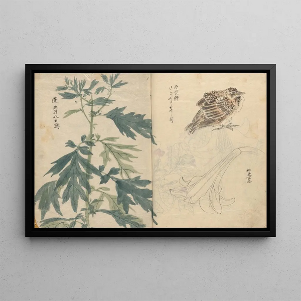 Ariyoshi Kondo - Sketchbook Pl070.webp