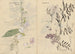 Carnet de croquis Pl072 - Ariyoshi Kondo — vista dell’opera