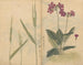 Carnet de croquis Pl073 - Ariyoshi Kondo — vista dell’opera