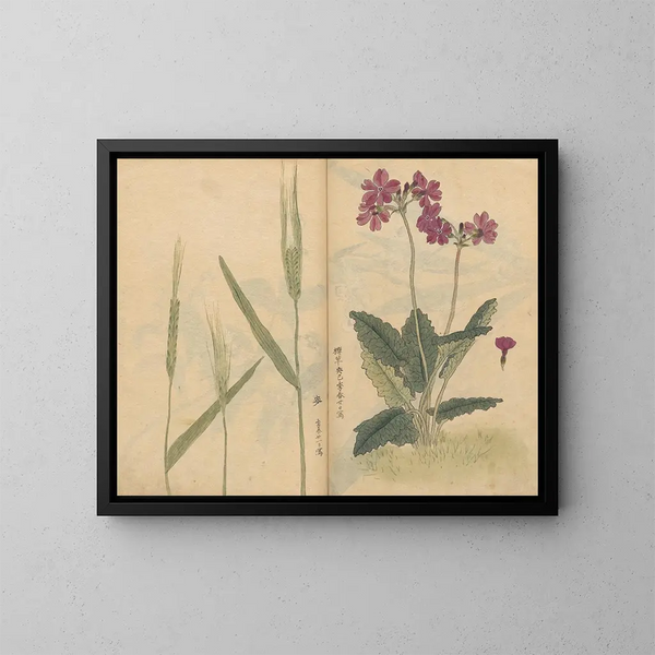 Carnet de croquis Pl073 - Ariyoshi Kondo — quadro incorniciato alla parete