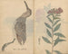 Carnet de croquis Pl074 - Ariyoshi Kondo — vista dell’opera