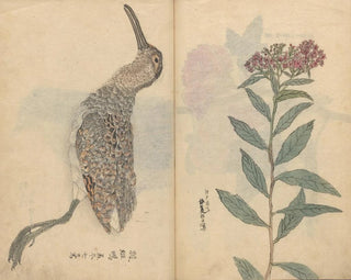 Ariyoshi Kondo - Sketchbook Pl074.webp