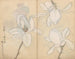 Carnet de croquis Pl077 - Ariyoshi Kondo — vista dell’opera