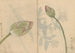 Carnet de Croquis Pl078 - Ariyoshi Kondo — vista dell’opera
