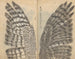 Carnet de croquis Pl082 - Ariyoshi Kondo — vista dell’opera