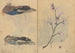 Carnet de croquis Pl086 - Ariyoshi Kondo — vista dell’opera