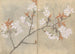 Carnet de croquis Pl088 - Ariyoshi Kondo — vista dell’opera
