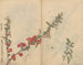 Carnet de croquis Pl090 - Ariyoshi Kondo — vista dell’opera