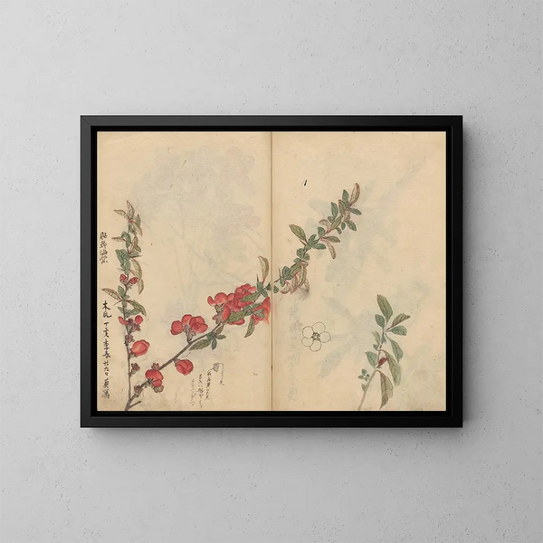 Carnet de croquis Pl090 - Ariyoshi Kondo — quadro incorniciato alla parete