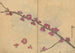 Carnet de croquis Pl091 - Ariyoshi Kondo — vista dell’opera