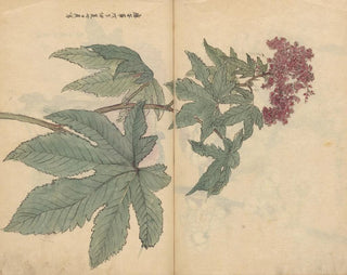 Carnet de croquis Pl095 - Ariyoshi Kondo — vista dell’opera