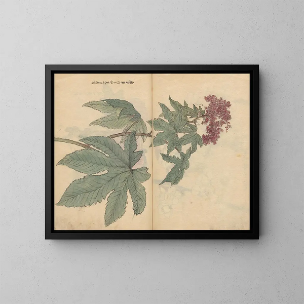 Carnet de croquis Pl095 - Ariyoshi Kondo — quadro incorniciato alla parete