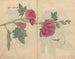 Carnet de croquis Pl097 - Ariyoshi Kondo — vista dell’opera