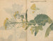 Carnet de croquis Pl099 - Ariyoshi Kondo — vista dell’opera