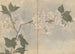 Carnet de croquis Pl105 - Ariyoshi Kondo — vista dell’opera