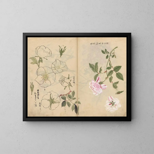 Carnet de croquis Pl107 - Ariyoshi Kondo — quadro incorniciato alla parete