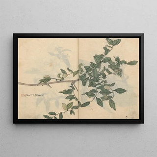 Ariyoshi Kondo - Sketchbook Pl109.webp