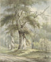 Vista sulla foresta - Arnoldus Johannes Eymer — vista dell’opera