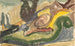 Plage - Arthur Dove — vista dell’opera