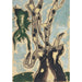 Riproduzione del dipinto Sycomore - Arthur Dove