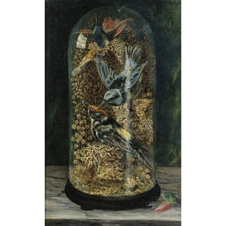 Arthur H Davis - Stuffed Birds In A Dome.webp