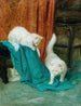 Gatti che giocano - Arthur Heyer — vista dell’opera