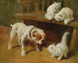 Cane e gatti - Arthur Heyer — vista dell’opera