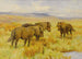 Poneys Shetland - Arthur Wardle — vista dell’opera