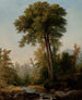 Un monarca naturale - Asher Brown Durand — vista dell’opera