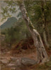 Un sicomoro Plaaterkill Clove Le sicomoro Kaaterskill Clove - Asher Brown Durand — vista dell’opera