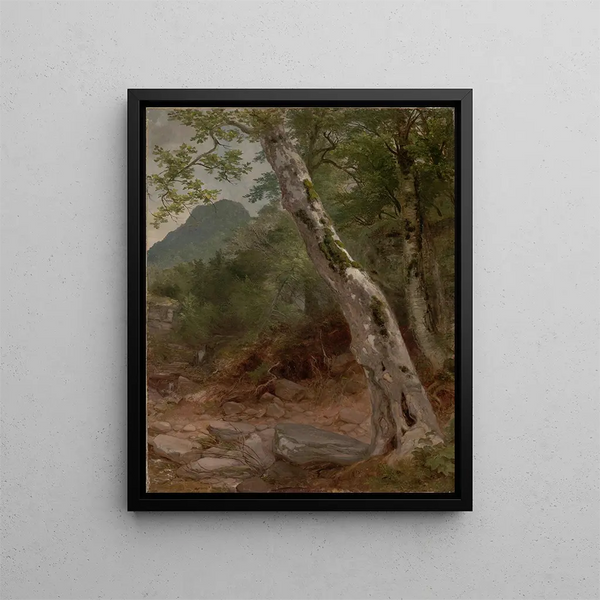 Un sicomoro Plaaterkill Clove Le sicomoro Kaaterskill Clove - Asher Brown Durand — quadro incorniciato alla parete
