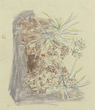 August Babberger - Study of plants 2.webp