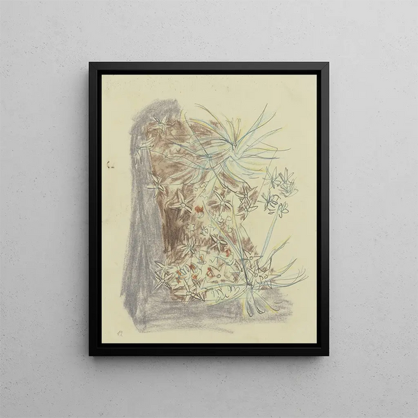 Studio delle piante 2 - August Babberger — quadro incorniciato alla parete
