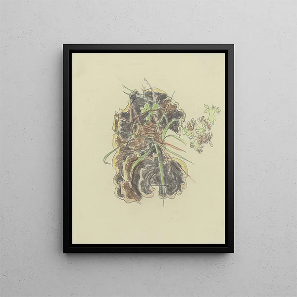 Studio delle piante - August Babberger — quadro incorniciato alla parete